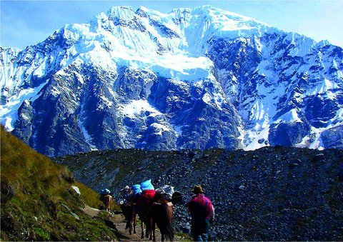 Eight reasons why the Salkantay trek is the best choice for a trekking in Peru
